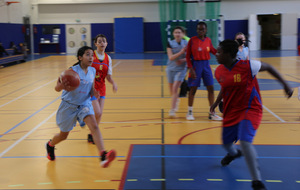 VAL DE SEINE BASKET - ASNIERES BASKETBALL