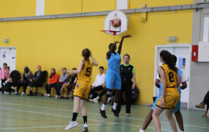 VAL DE SEINE BASKET - ABEILLE DE RUEIL