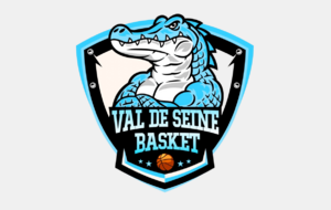 VAL DE SEINE BASKET - ABEILLE DE RUEIL